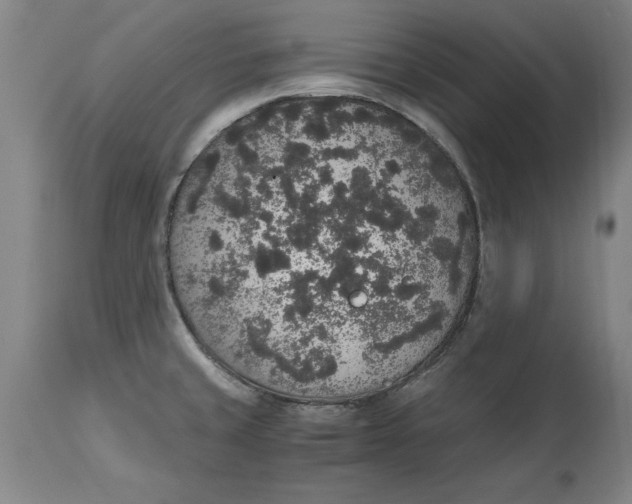 X0000114661429200911101333