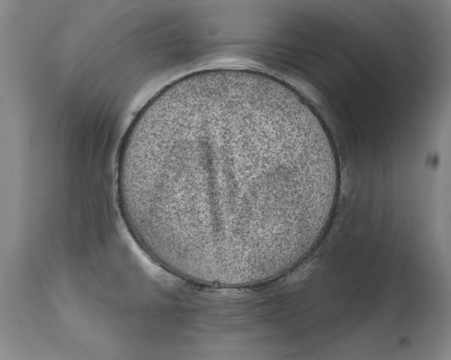 X0000114661430200911101333