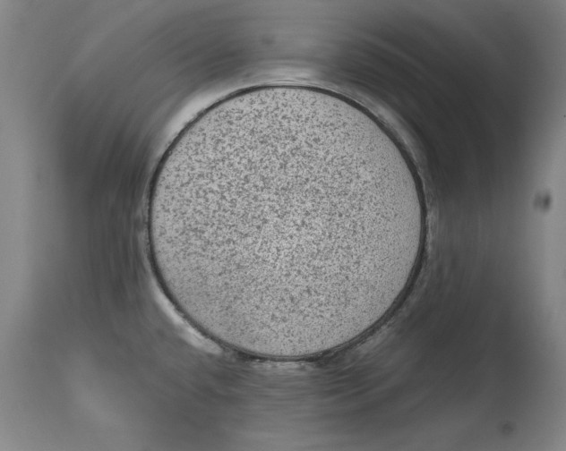 X0000114661432200911101333