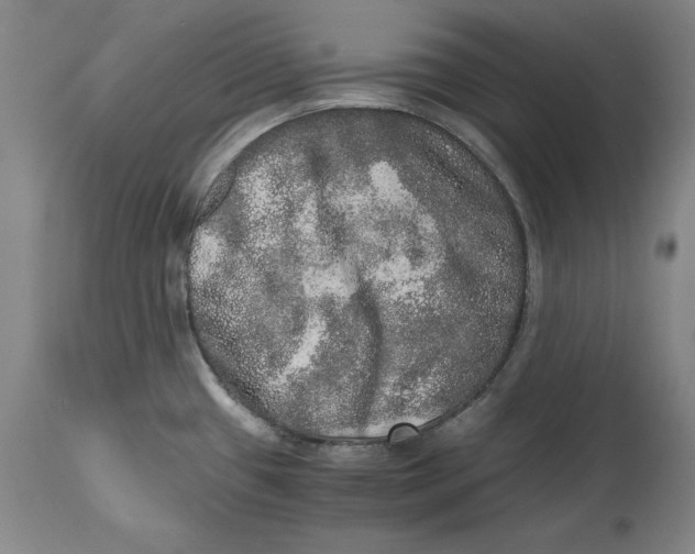 X0000114661433200911101333