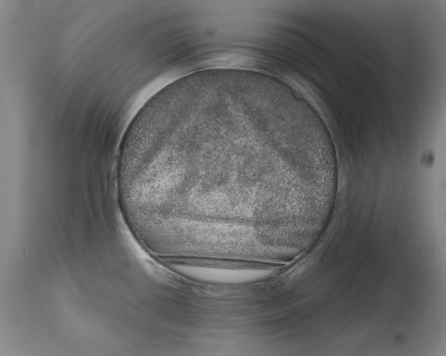 X0000114661434200911101333