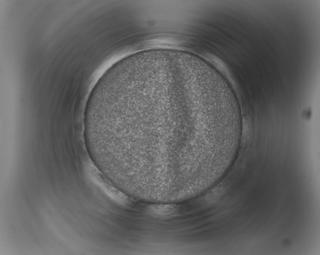 X0000114661435200911101333