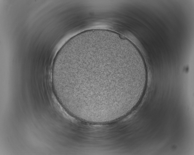 X0000114661436200911101333