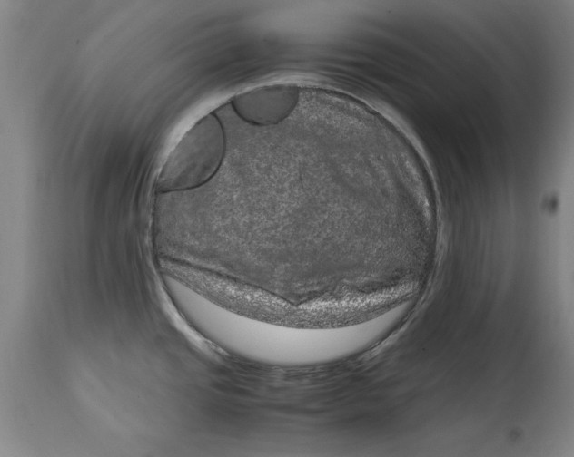 X0000114661437200911101333