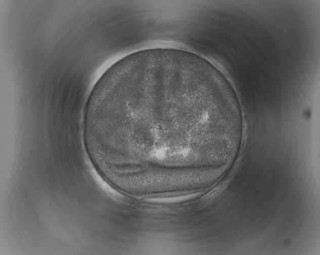 X0000114661438200911101333