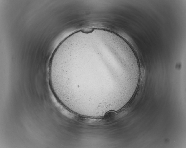 X0000114661439200911101333