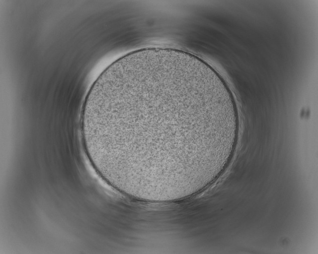 X0000114661440200911101333