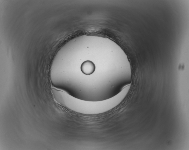 X0000114661441200911101332