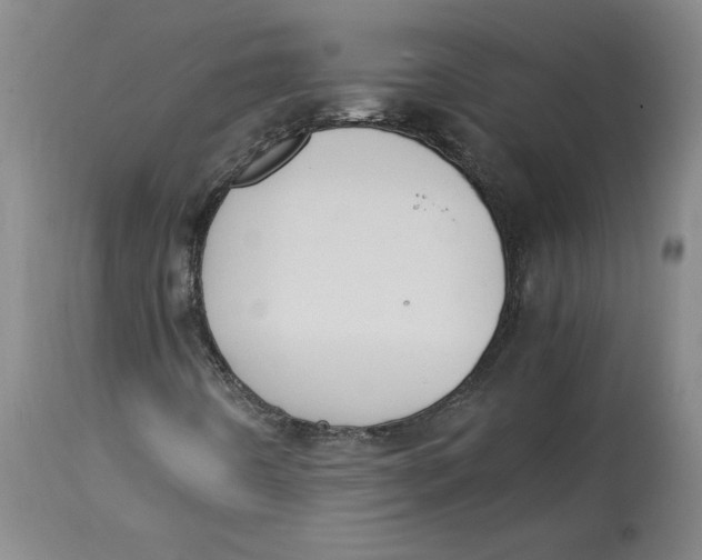 X0000114661442200911101332