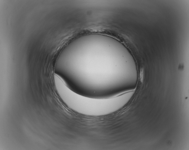 X0000114661444200911101332