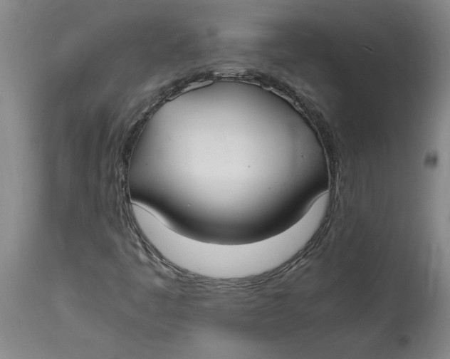 X0000114661445200911101332