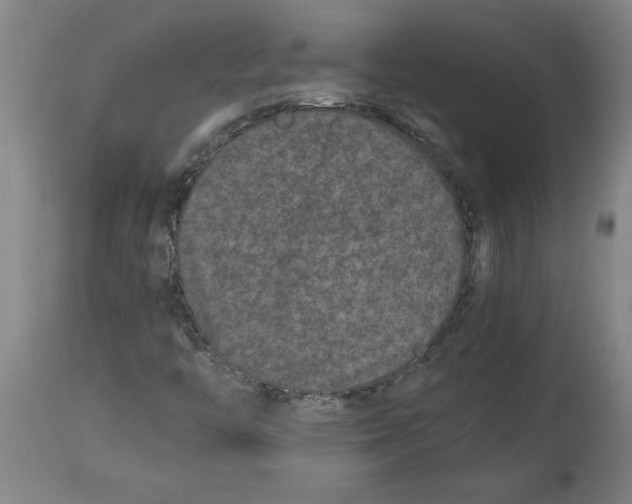 X0000114661446200911101332