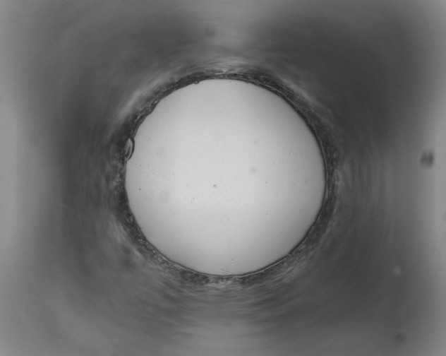 X0000114661447200911101332