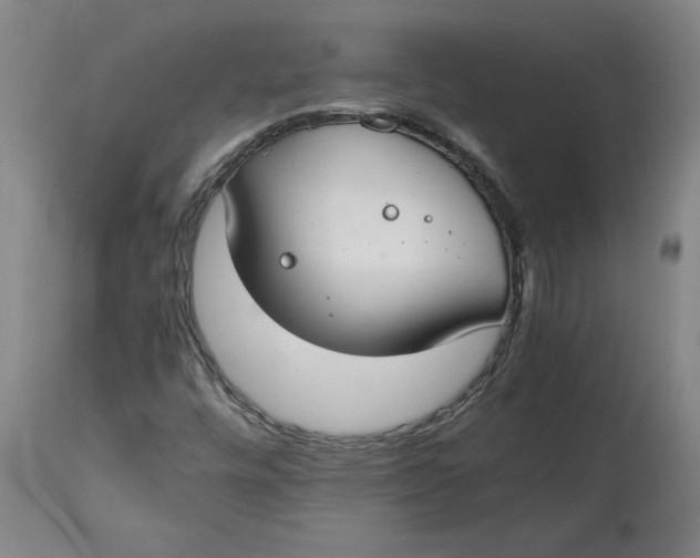 X0000114661448200911101332