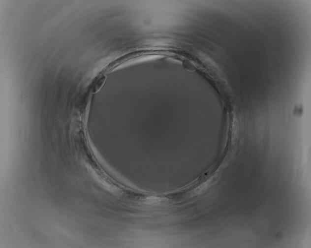 X0000114661449200911101332