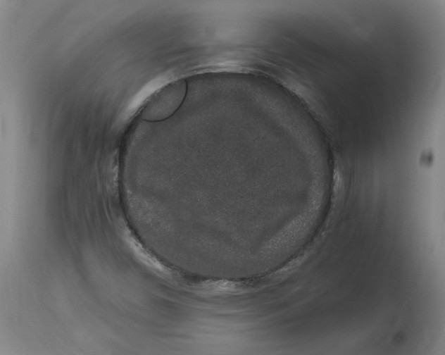 X0000114661450200911101332