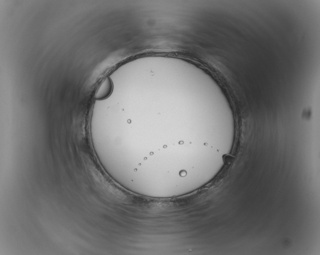 X0000114661451200911101332