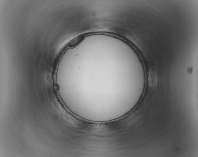 X0000114661452200911101332