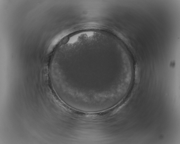 X0000114661453200911101332