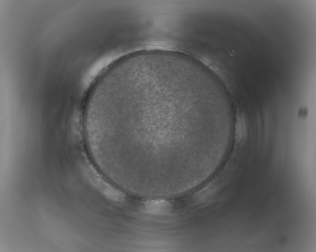 X0000114661454200911101332