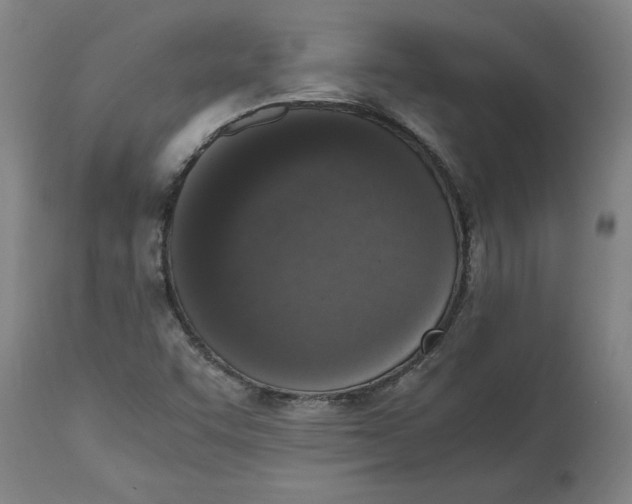 X0000114661455200911101332