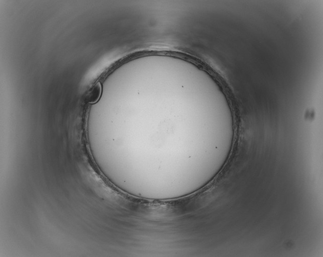 X0000114661456200911101332