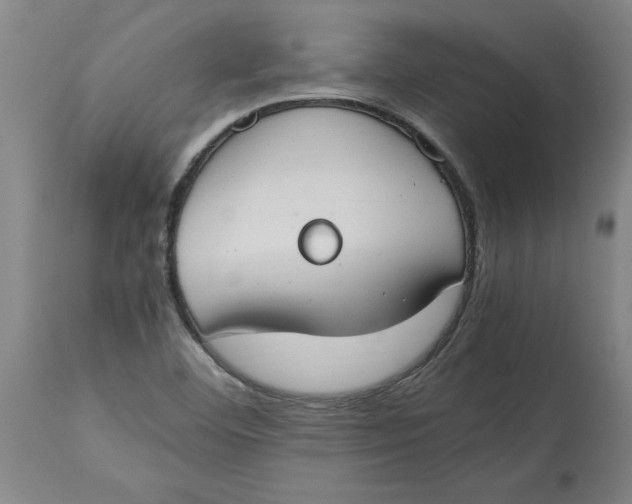 X0000114661460200911101332