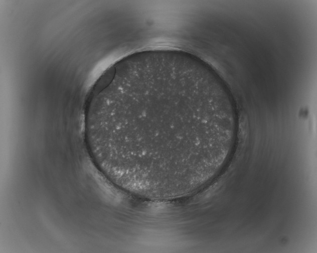 X0000114661461200911101332