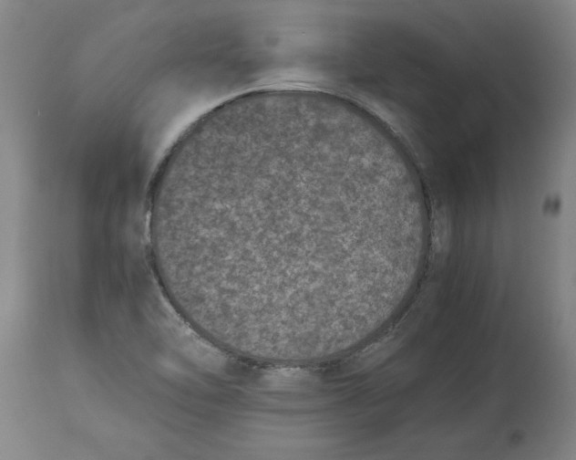 X0000114661462200911101332