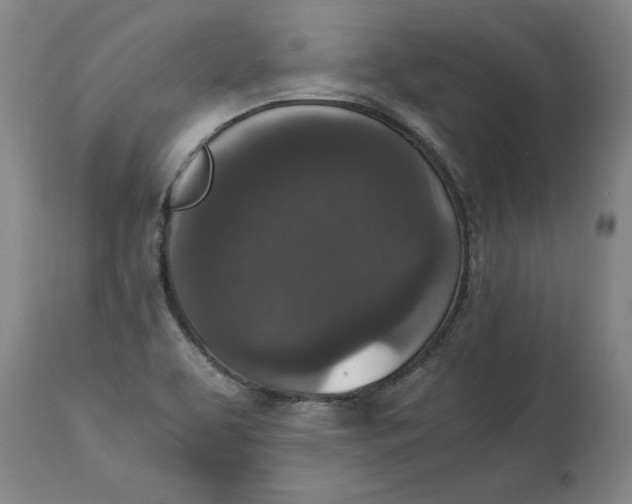 X0000114661463200911101332