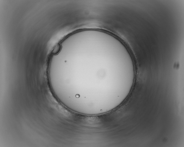 X0000114661464200911101332