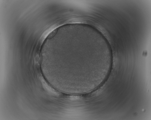 X0000114661465200911101332