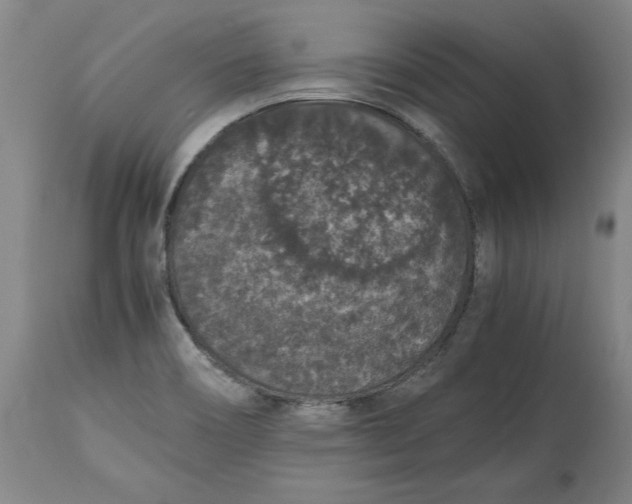 X0000114661466200911101332