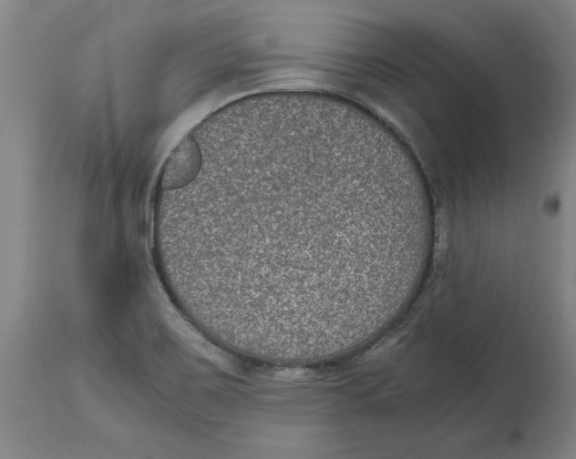 X0000114661467200911101332