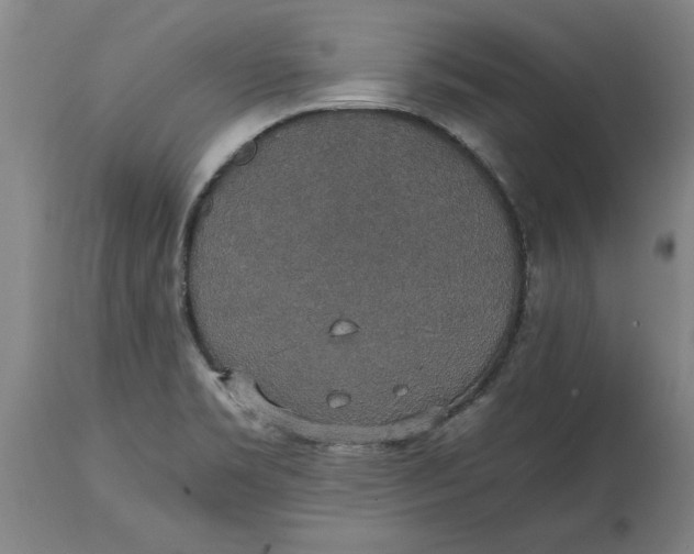 X0000114661469200911101332