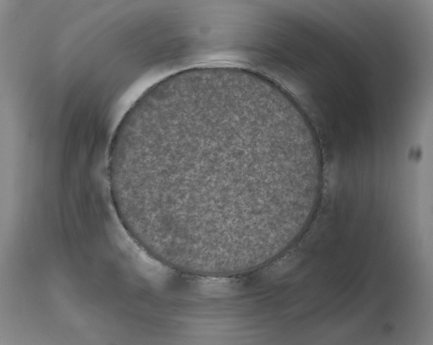 X0000114661470200911101332