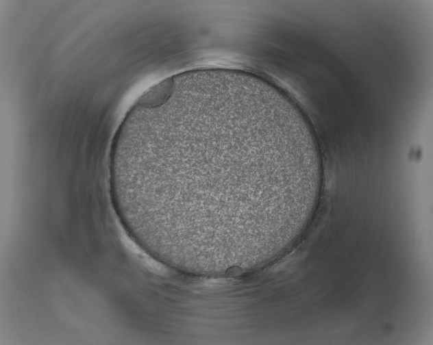 X0000114661471200911101332