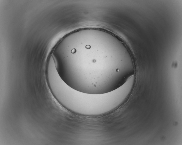 X0000114661472200911101332