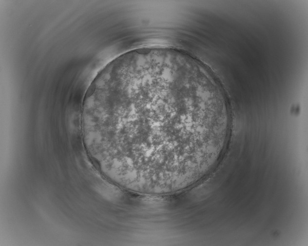 X0000114661473200911101332