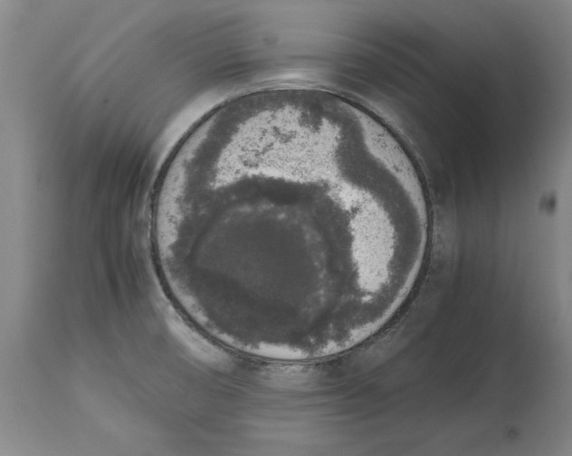 X0000114661474200911101332