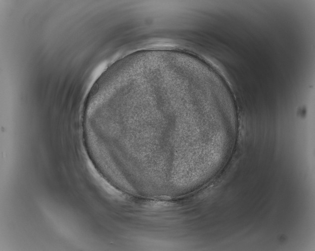 X0000114661475200911101332