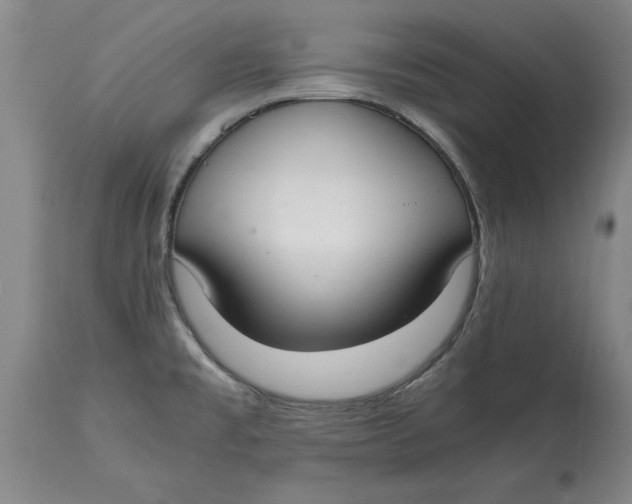 X0000114661477200911101332