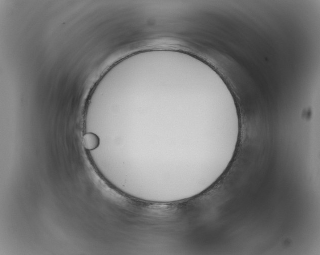 X0000114661478200911101332