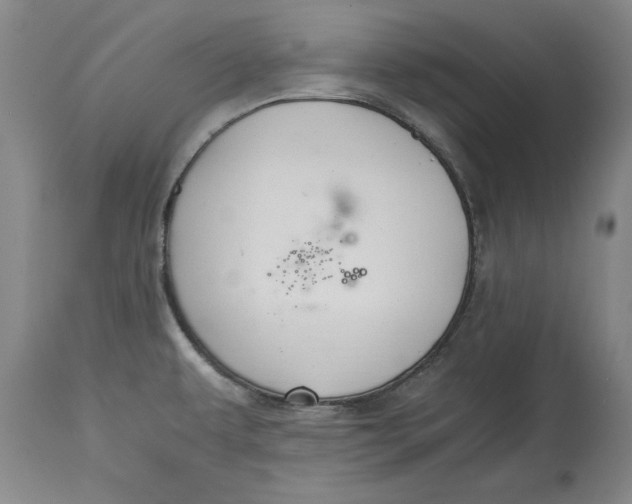 X0000114661479200911101332