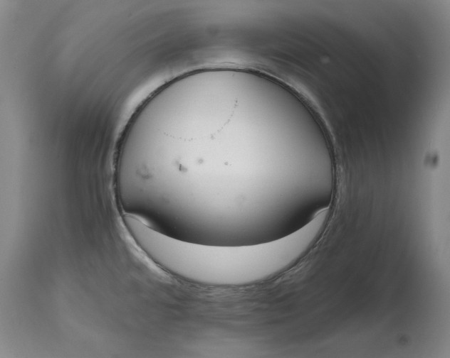 X0000114661480200911101332