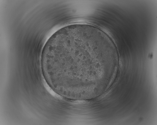 X0000114661482200911101332