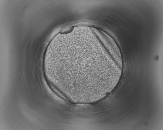 X0000114661483200911101332