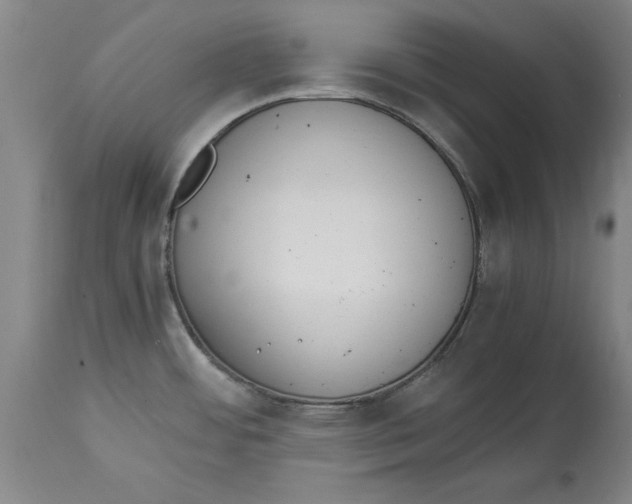 X0000114661484200911101332