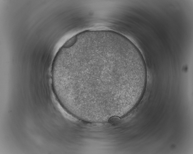 X0000114661485200911101332