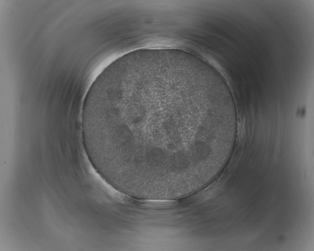 X0000114661487200911101332